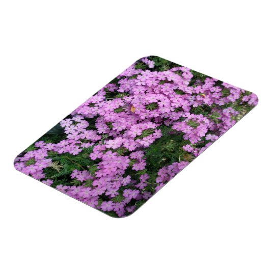 Roze Flowers magnet Magneet (Linkerzijde)