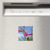Roze Flowers Scene Magnet (Insitu (Vaatwasser))