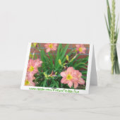 Roze FlowersCake, GELUKKIGE VERJAARDAG! Kaart (Achterkant)