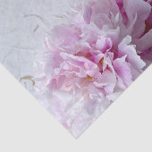 Roze fonieën met ruimte voor tekst tissuepapier (Detail)