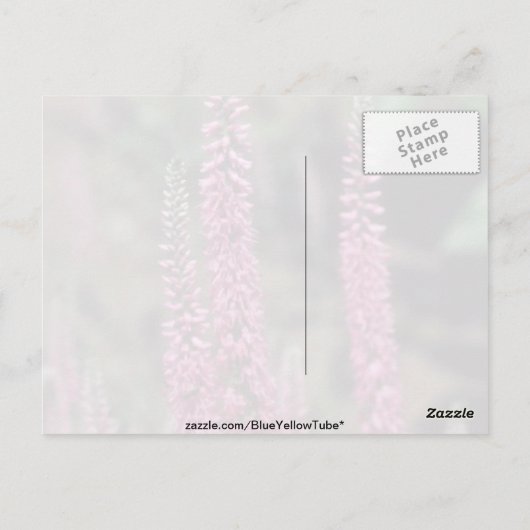 Roze Forma, bloemen (Veronica Longifolia) Briefkaart (Achterkant)