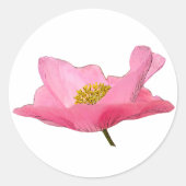  roze foto's ronde sticker (Voorkant)