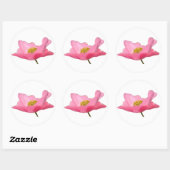  roze foto's ronde sticker (Vel)