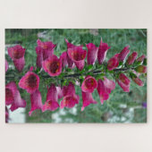 Roze foxglove bloemen legpuzzel (Horizontaal)