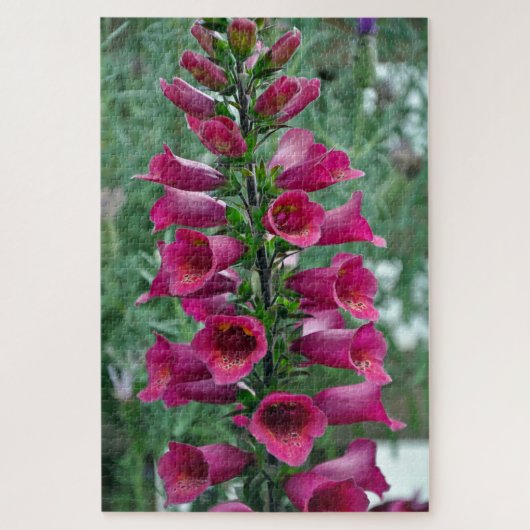 Roze foxglove bloemen legpuzzel (Verticaal)