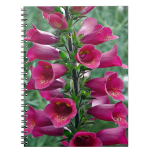 Roze foxglove bloemen notitieboek