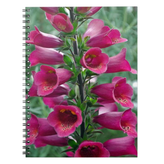 Roze foxglove bloemen notitieboek (Voorkant)