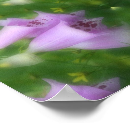 Roze Foxglove Flowers Abstract Poster (Hoek)