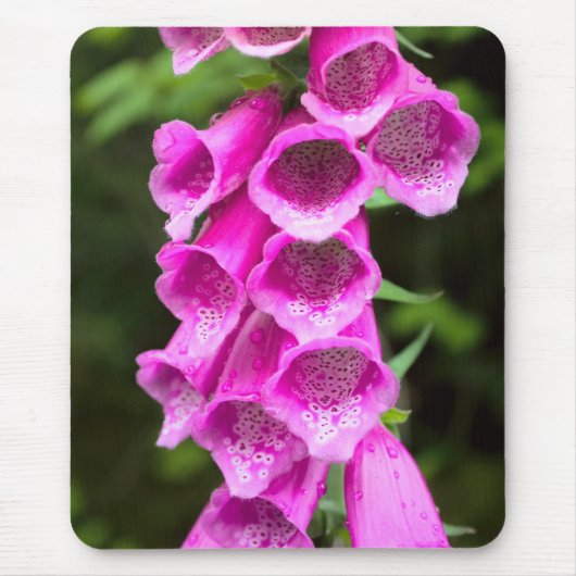 Roze Foxglove Mousepad Muismat (Voorkant)