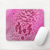 Roze Foxglove Petal Mousepad Muismat (Met muis)