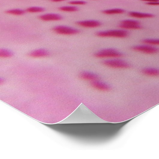 Roze Foxglove Petal Print (Hoek)