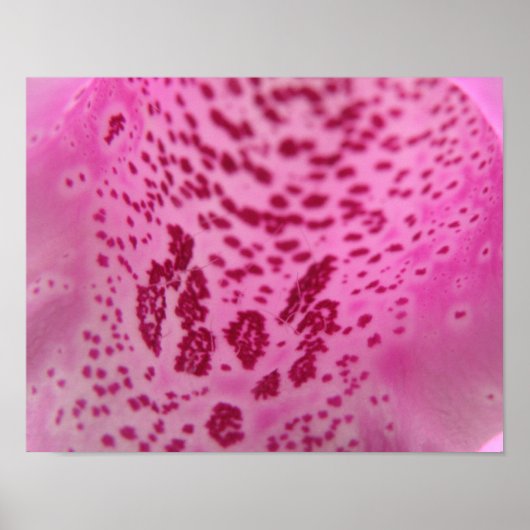 Roze Foxglove Petal Print (Voorkant)