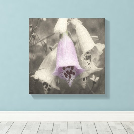 Roze foxglove-ventilator zwart-wit, partiële kleur canvas afdruk (Insitu (Houten vloer))