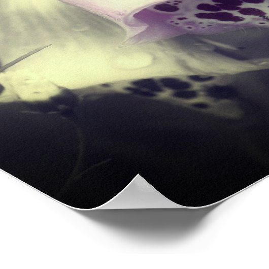Roze foxglove-ventilator zwart-wit, partiële kleur poster (Hoek)