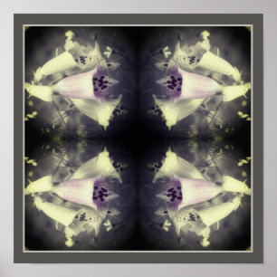 Roze foxglove zwart-wit Abstract Poster