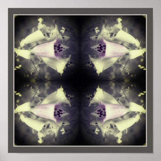 Roze foxglove zwart-wit Abstract Poster (Voorkant)