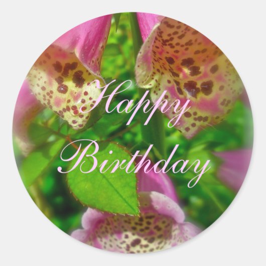 Roze Foxhandschoenen Happy Birthday Sticker (Voorkant)