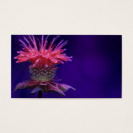 Roze frambozenhoudende wijnstok op Paars Visitekaartjes