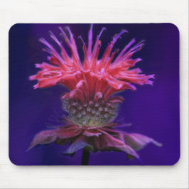 Roze Frambozenwijn Monarda Bloem op Paars Muismat