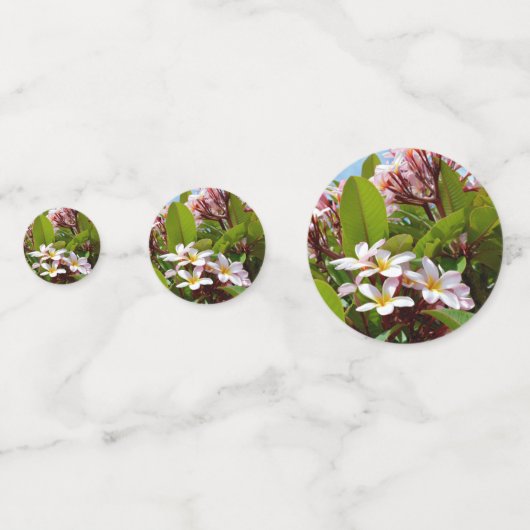 Roze Frangipani-boom, Confetti (Achterkanten)