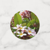 Roze Frangipani-boom, Confetti (Kleine voorkant)