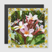 Roze Frangipani-boom met gele Frangipani-rand, (Voorkant / Achterkant)