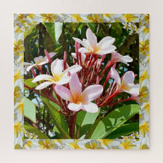 Roze Frangipani-boom met gele Frangipani-rand, Legpuzzel (Verticaal)