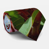 Roze Frangipani-boom, Stropdas (Opgerold)