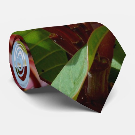 Roze Frangipani-boom, Stropdas (Opgerold)