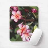 Roze Frangipani Flowers Muismat (Met muis)