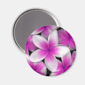 roze frangipani magneet (Voorkant / Achterkant)