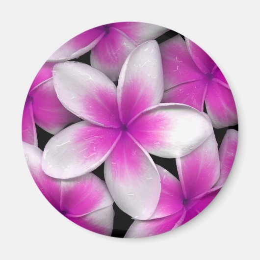 roze frangipani magneet (Voorkant)