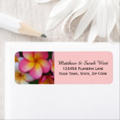 Roze Frangipani Plumeria Tropische bloemen Etiket (Insitu)