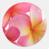 Roze Frangipani Ronde Sticker (Voorkant)