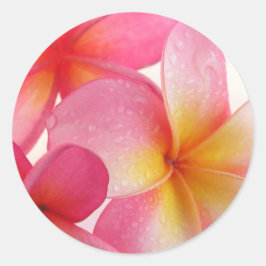 Roze Frangipani Ronde Sticker