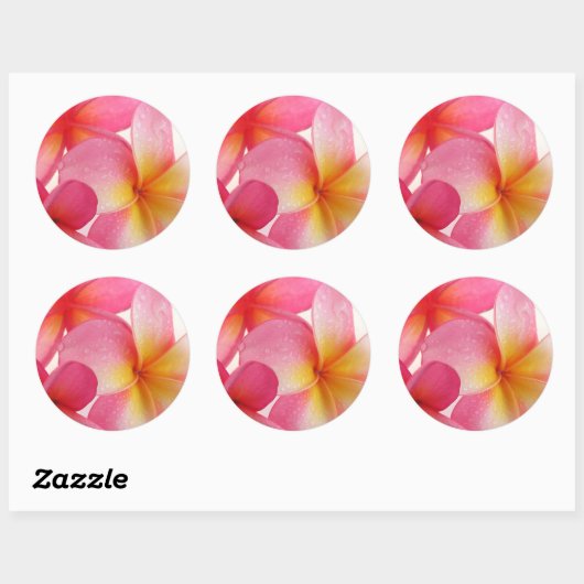Roze Frangipani Ronde Sticker (Vel)