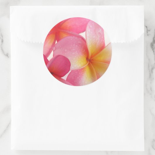Roze Frangipani Ronde Sticker (Tas)