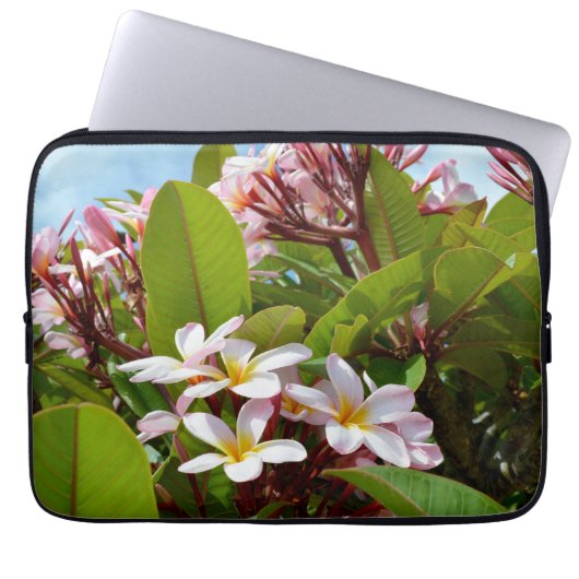Roze Frangipani-structuur, laptophoes Laptop Sleeve (Voorkant)