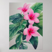 Roze Frangipani Waterverf Bloem Poster (Voorkant)