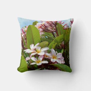 Roze Frangipanis op een boom, duw kussen. Kussen