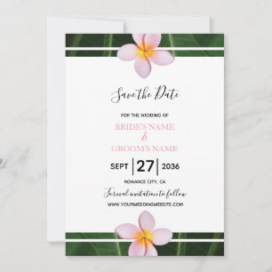 Roze franjangipani Plumeria Wedding slaat de datum Save The Date