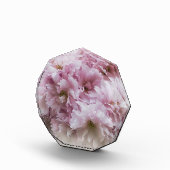 Roze franjes fotoblokken (Rechts)