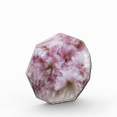Roze franjes fotoblokken (Links)