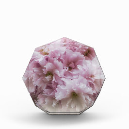 Roze franjes fotoblokken