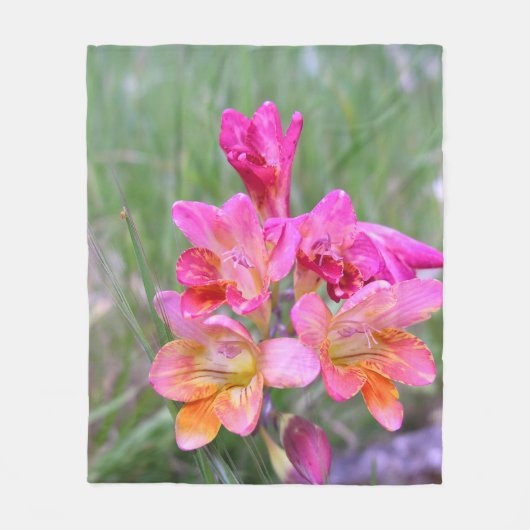 Roze Freesias Fleece Deken (Voorkant)