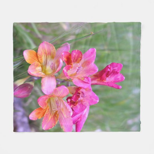 Roze Freesias Fleece Deken (Voorkant (Horizontaal))