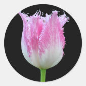 Roze Fringed Tulp Stickers (Voorkant)