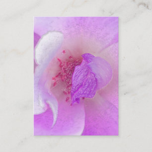 *~* Roze Fuchia Lavender Violet Roos Floral Salon Visitekaartje