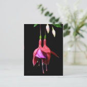 Roze Fuchsia Flower Briefkaart (Staand voorkant)