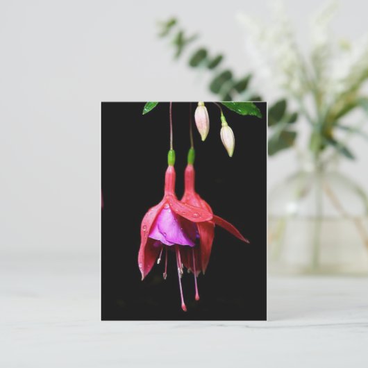 Roze Fuchsia Flower Briefkaart (Staand voorkant)